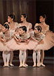 Coppélia Ballet by Roland Petit | New National Theatre, Tokyo