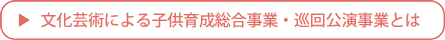 文化芸術による子供の育成事業・巡回公演事業とは